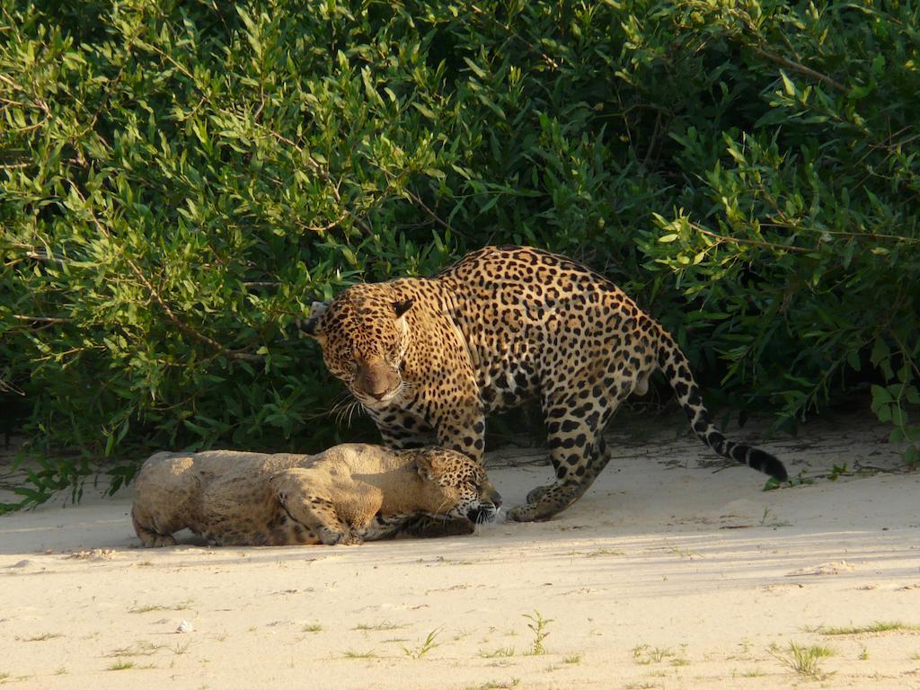 Hotel Pousada And Safari 库亚巴 外观 照片